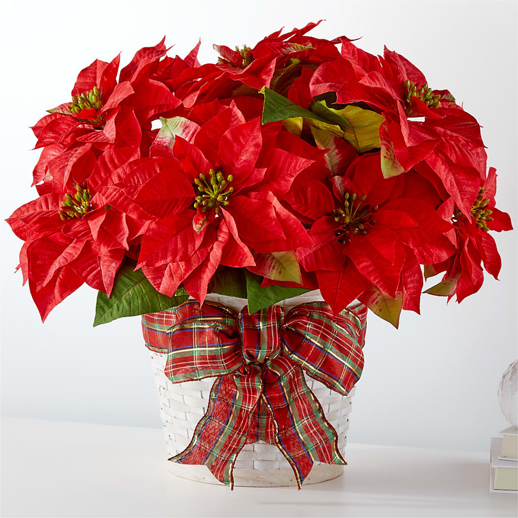 Happiest Holidays Poinsettia – Russ, Lincoln NE