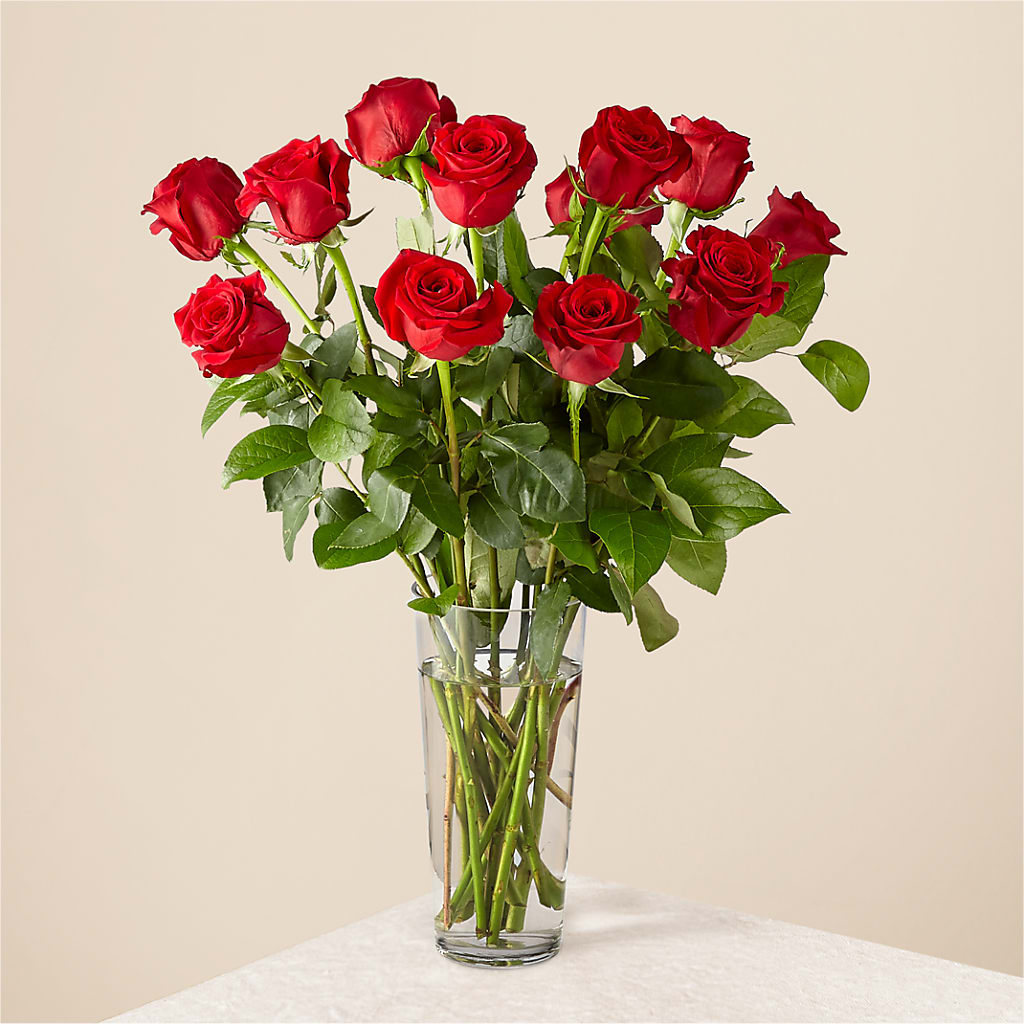 Long Stem Red Rose Bouquet – Russ, Lincoln NE