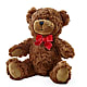 Adorable Plush Bear – Russ, Lincoln NE