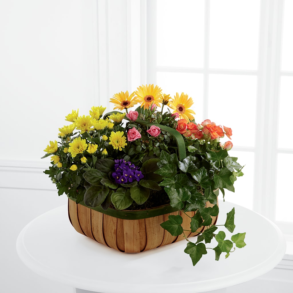 Gentle Blossoms Basket – Russ, Lincoln NE