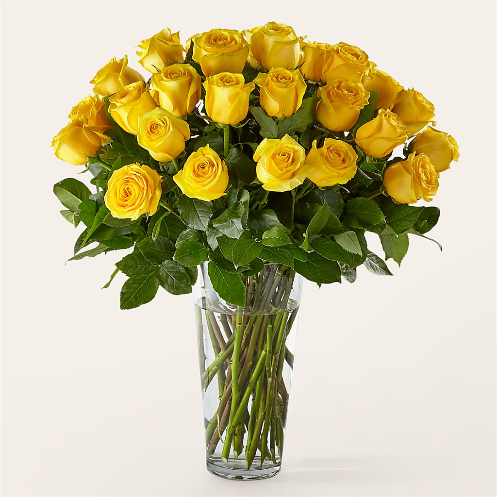 Long Stem Yellow Rose Bouquet – Russ, Lincoln NE
