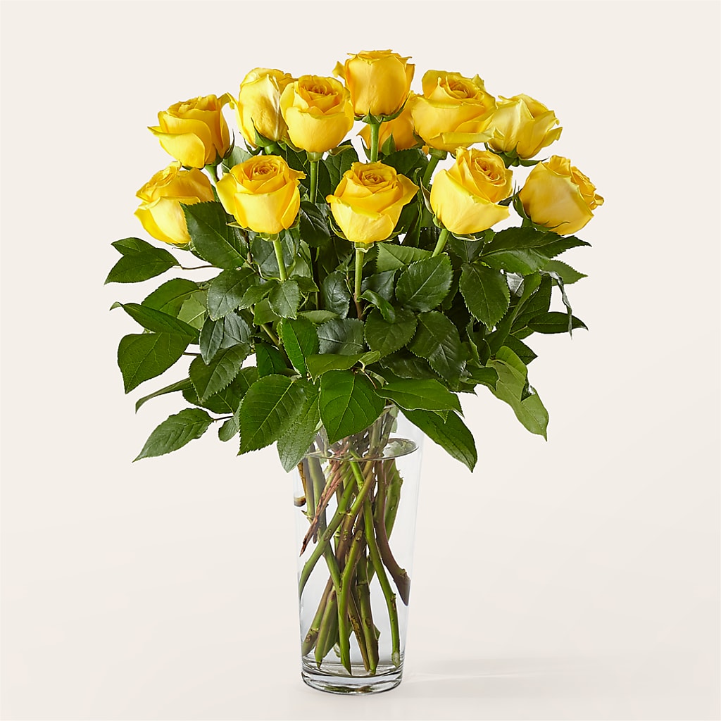 Long Stem Yellow Rose Bouquet – Russ, Lincoln NE