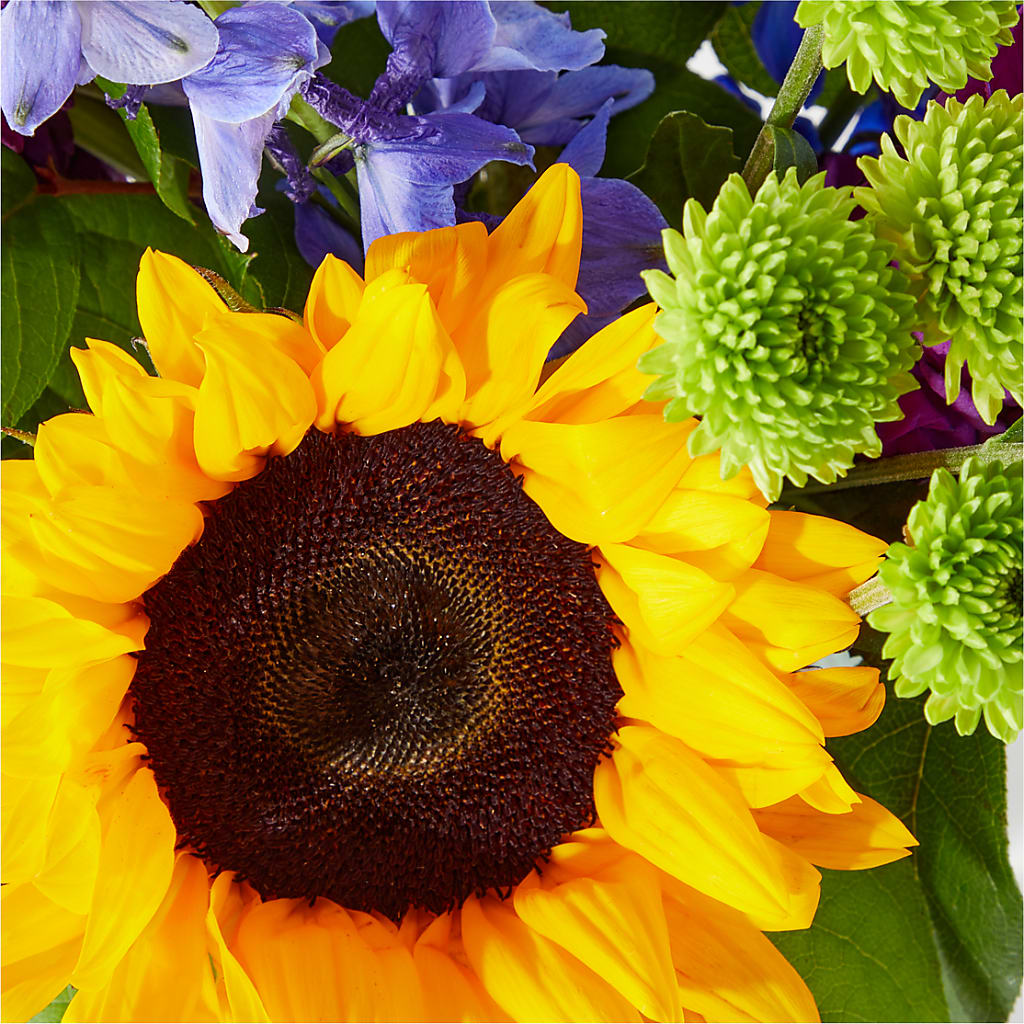 Catching Rays Bouquet – Russ, Lincoln NE