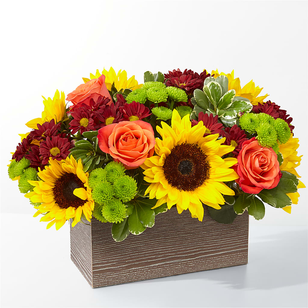 Happy Harvest Garden – Russ, Lincoln NE