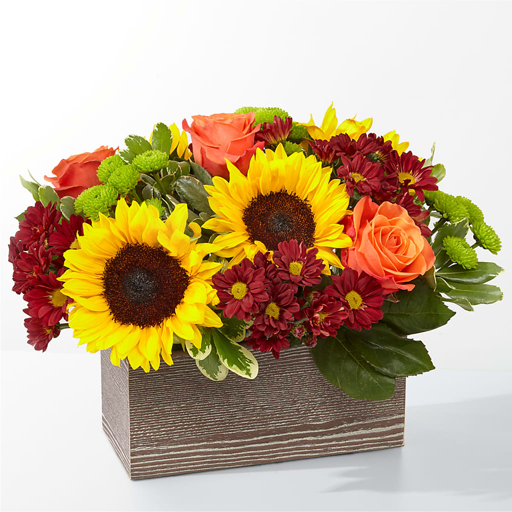 Happy Harvest Garden – Russ, Lincoln NE