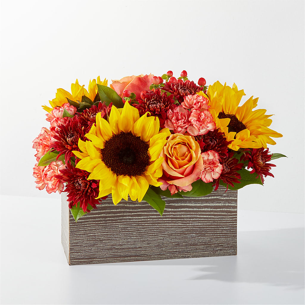 Fresh Cider Bouquet – Russ, Lincoln NE