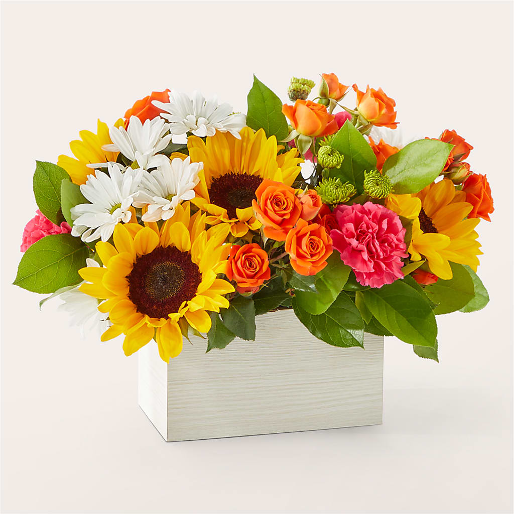 Sun-drenched Blooms Box Bouquet – Russ, Lincoln NE