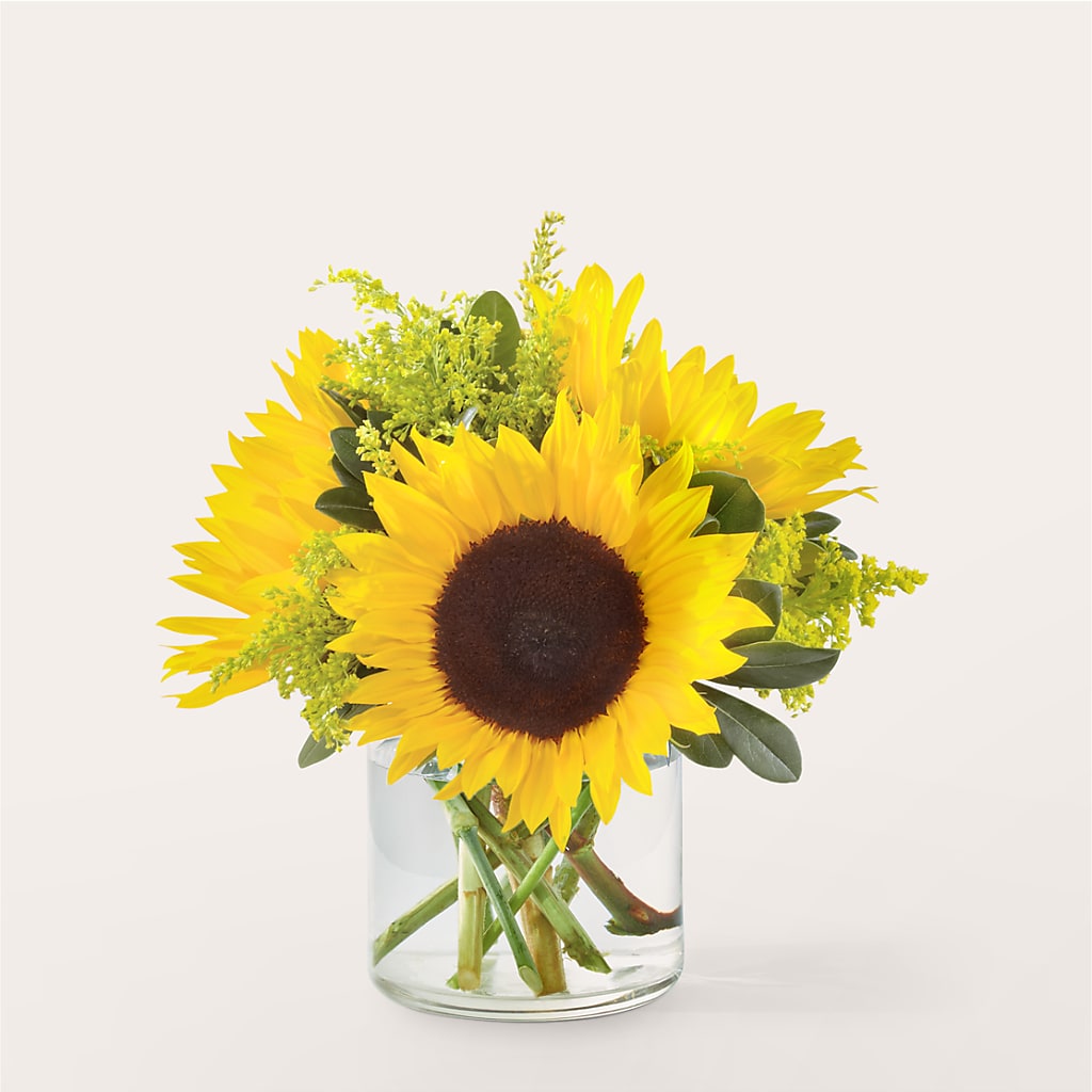 Beaming Sunflower Bouquet – Russ, Lincoln NE