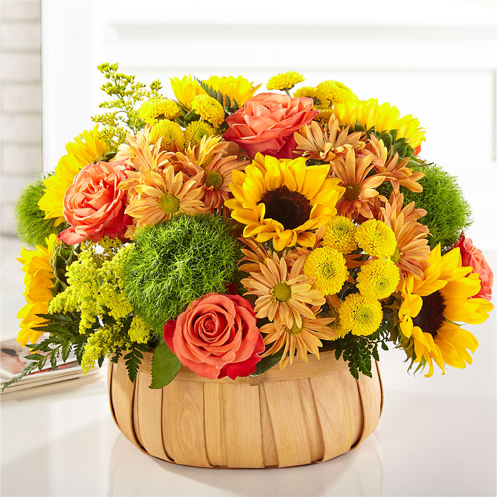 Harvest Sunflower Basket – Russ, Lincoln NE