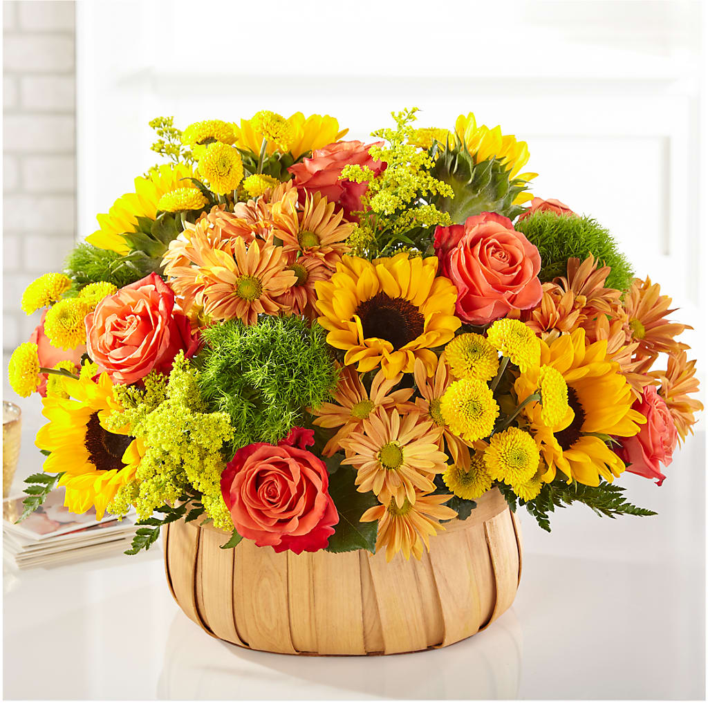Harvest Sunflower Basket – Russ, Lincoln NE
