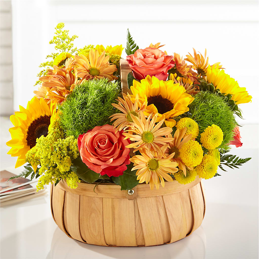 Harvest Sunflower Basket – Russ, Lincoln NE