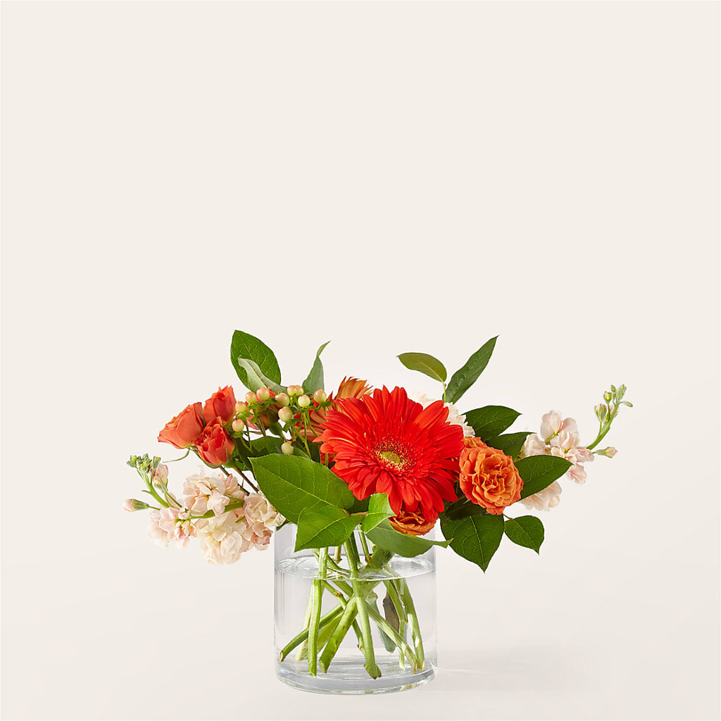 Paloma Please Bouquet – Russ, Lincoln NE