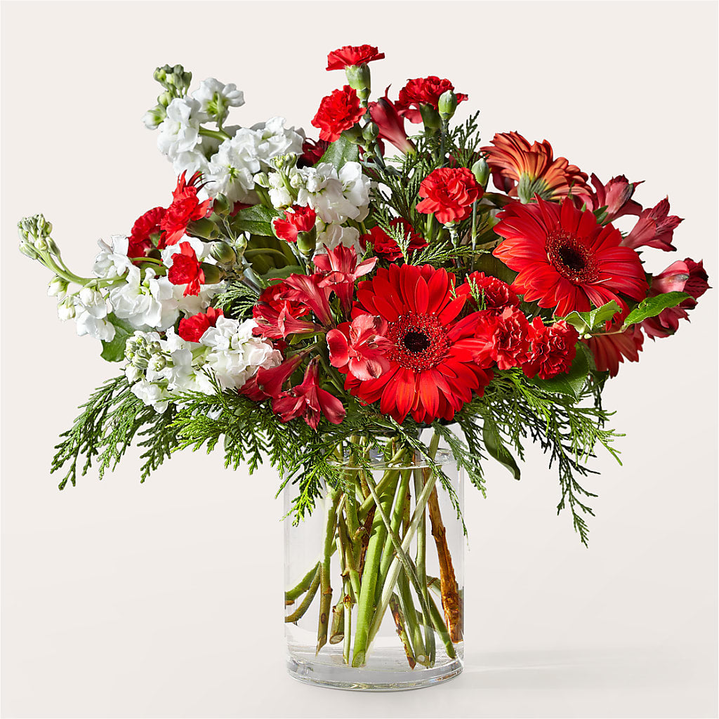Holidaisy Bouquet – Russ, Lincoln NE