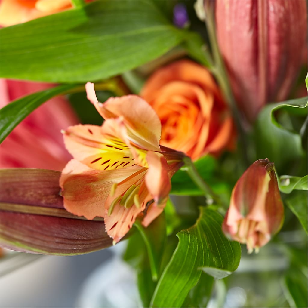 Bold & Bright – A Florist Original –  Russ, Lincoln NE