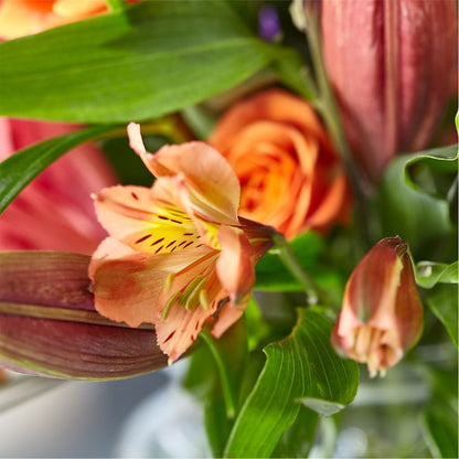 Bold & Bright – A Florist Original –  Russ, Lincoln NE