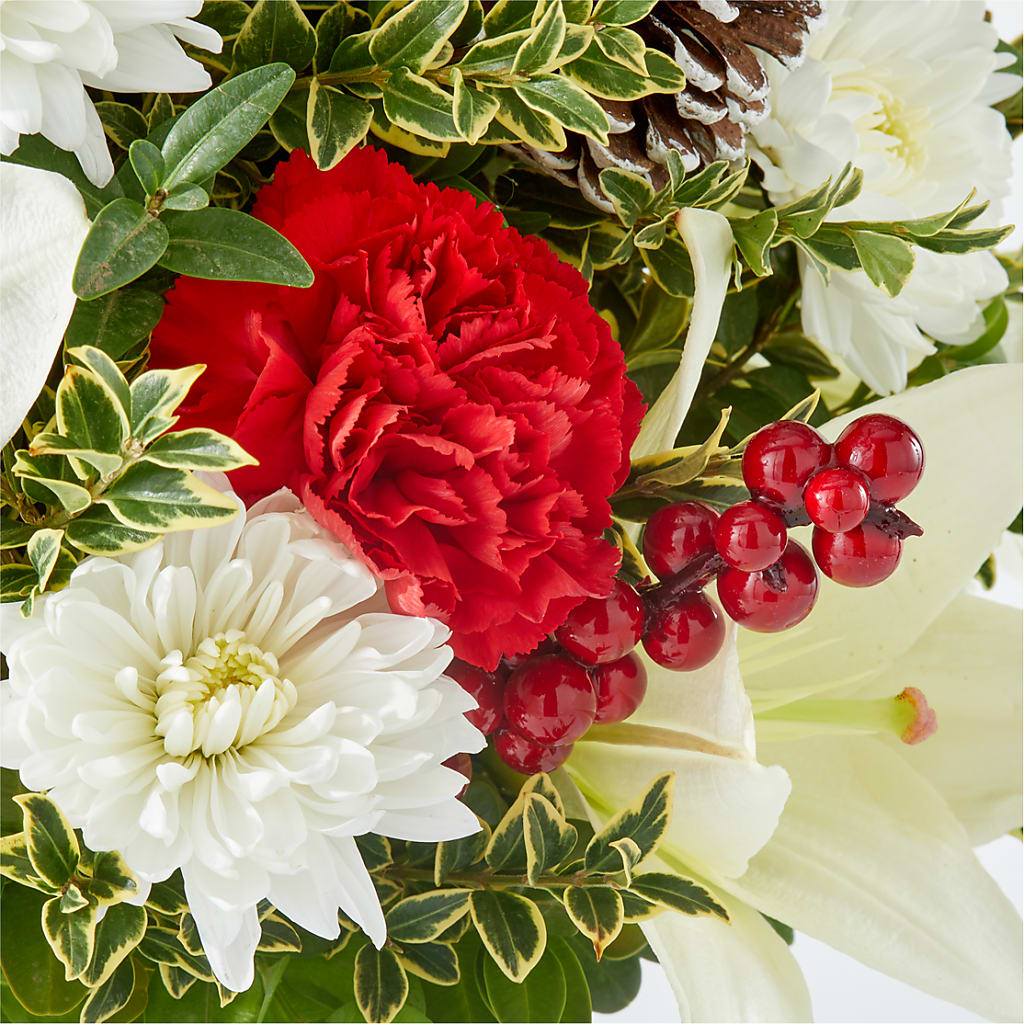 Festive Moments Tree –  Russ, Lincoln NE