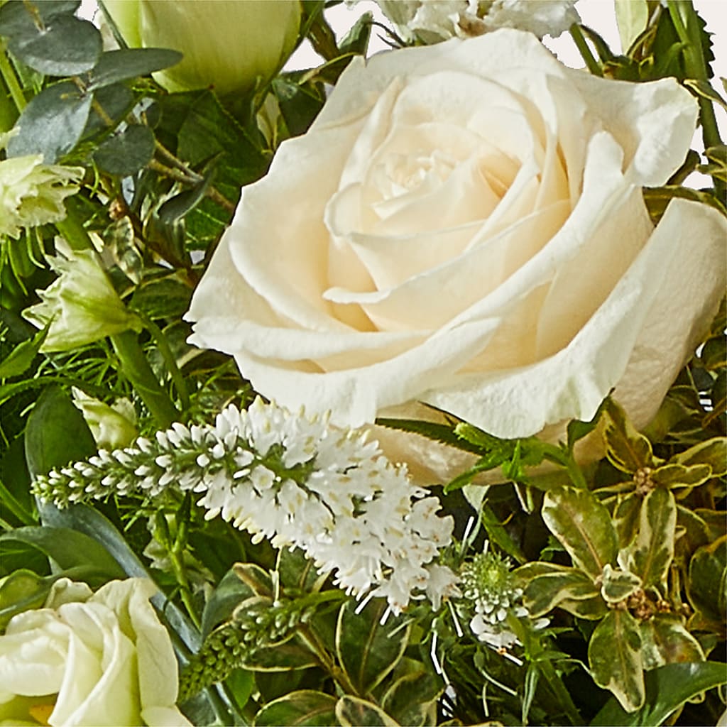 Cashmere Bouquet –  Russ, Lincoln NE