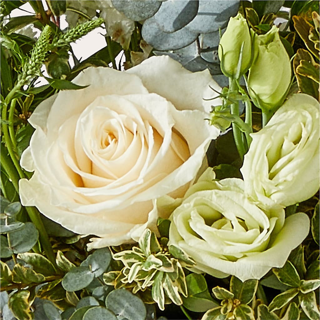 Cashmere Bouquet –  Russ, Lincoln NE