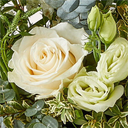 Cashmere Bouquet –  Russ, Lincoln NE