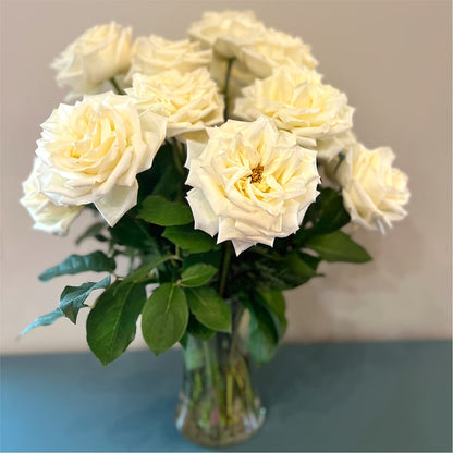 Long Stem Yellow Rose Bouquet –  Russ, Lincoln NE