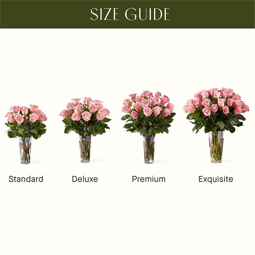 Long Stem Pink Rose Bouquet –  Russ, Lincoln NE