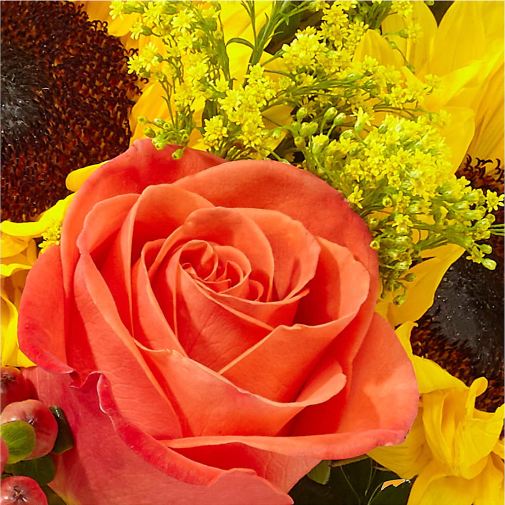 Pick of the Patch Pumpkin Bouquet –  Russ, Lincoln NE