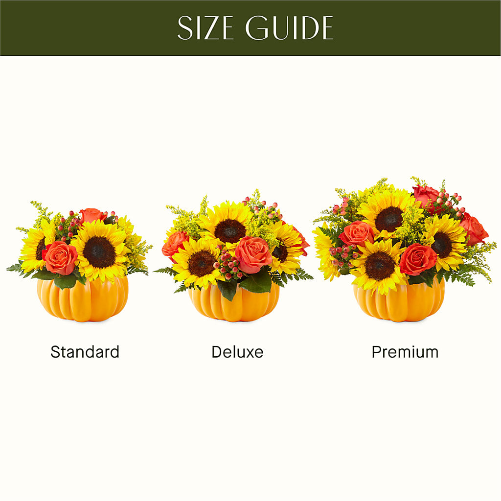 Pick of the Patch Pumpkin Bouquet –  Russ, Lincoln NE