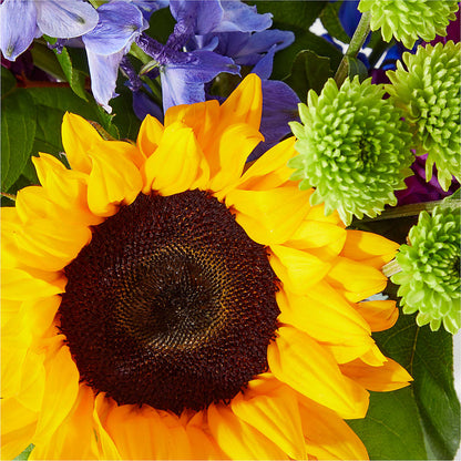 Catching Rays Bouquet –  Russ, Lincoln NE