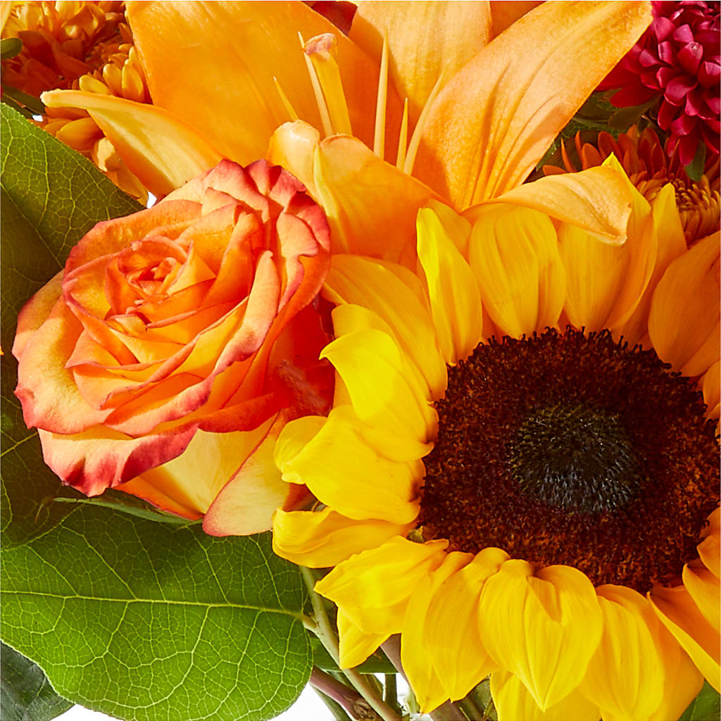 Fall Day Bouquet –  Russ, Lincoln NE