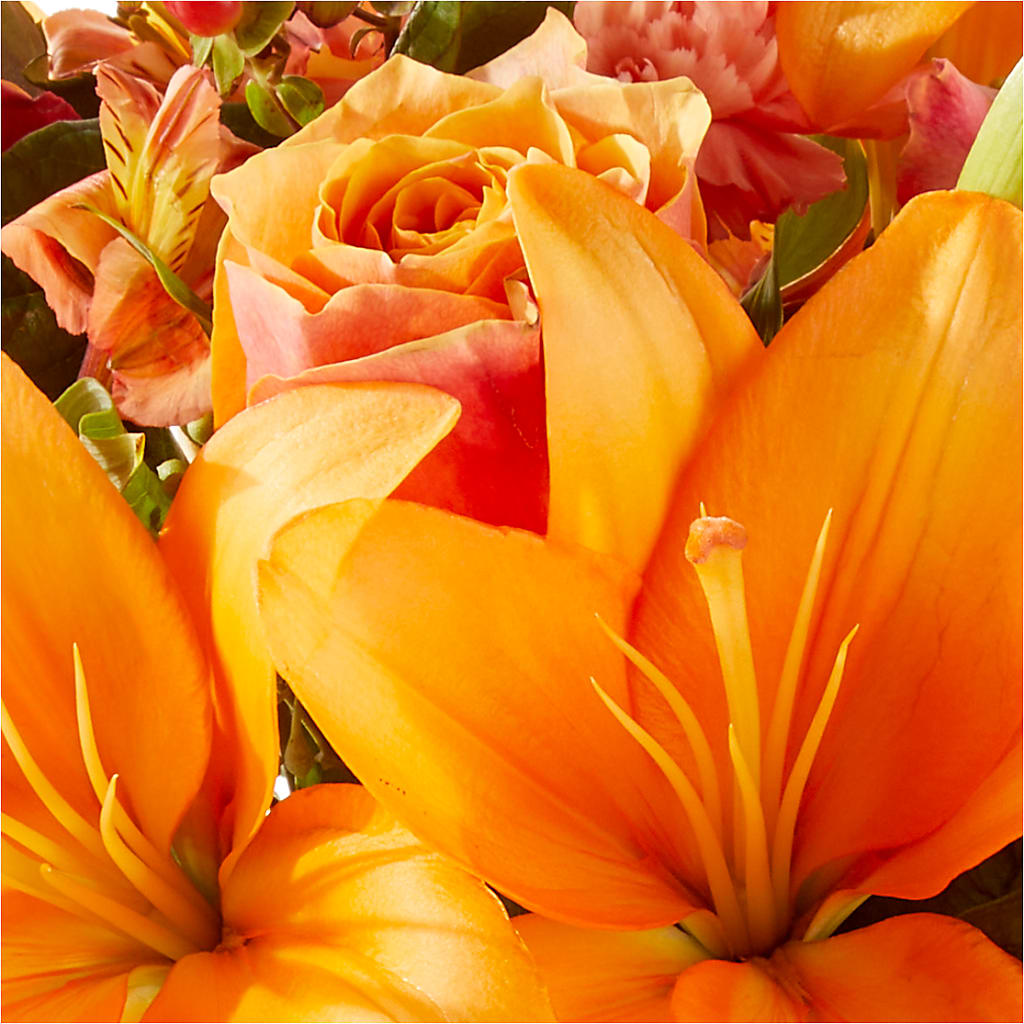 Afternoon Light Bouquet –  Russ, Lincoln NE