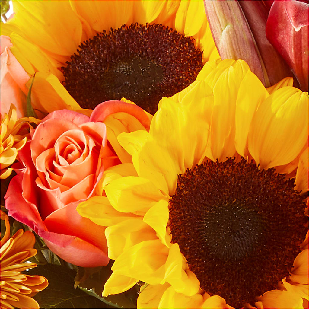 Acorn Lane Bouquet –  Russ, Lincoln NE