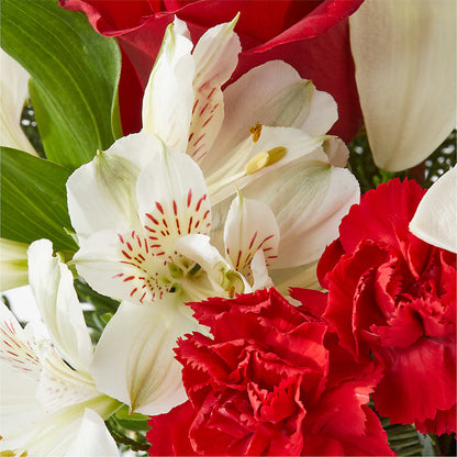 Holiday Season Bouquet –  Russ, Lincoln NE