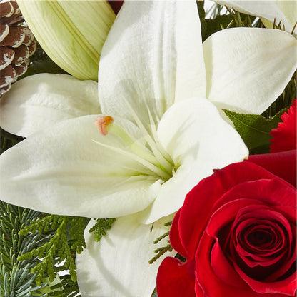 Oh So Jolly Bouquet –  Russ, Lincoln NE