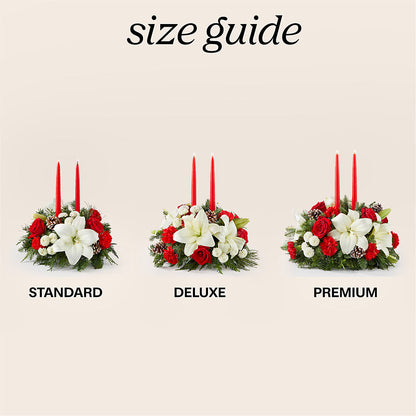 Seasonal Festivities Centerpiece –  Russ, Lincoln NE