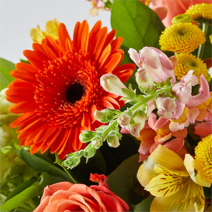 Autumn Sunshine Bouquet –  Russ, Lincoln NE