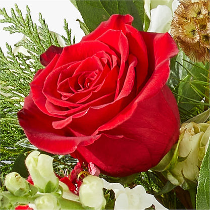Deck the Halls Bouquet –  Russ, Lincoln NE