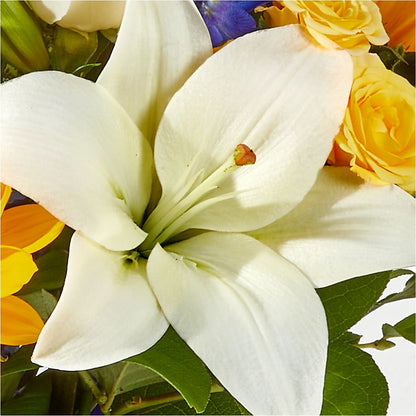 Wonderfully Sunny Bouquet –  Russ, Lincoln NE