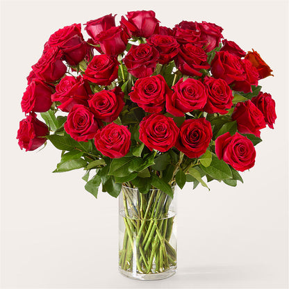 The One Red Rose Bouquet –  Russ, Lincoln NE