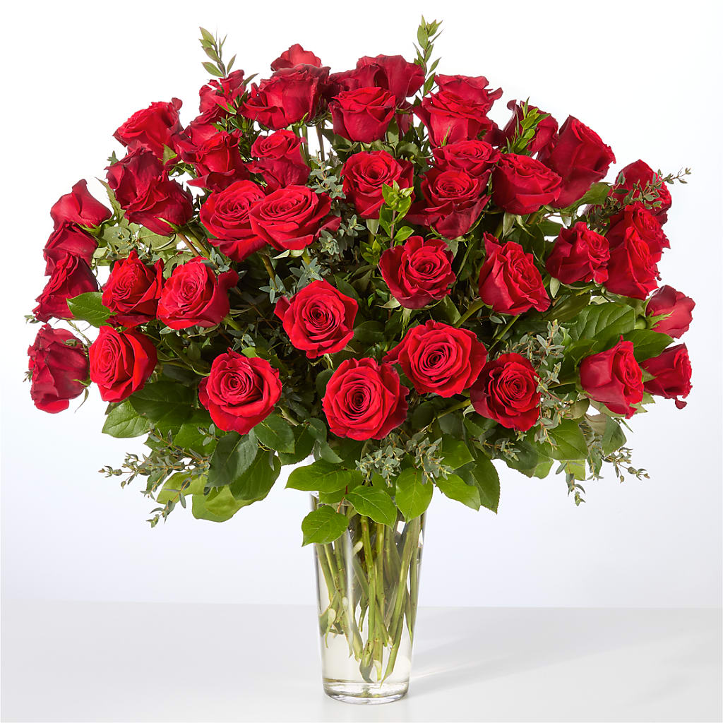Forever Yours Fifty Stem Red Rose Bouquet –  Russ, Lincoln NE
